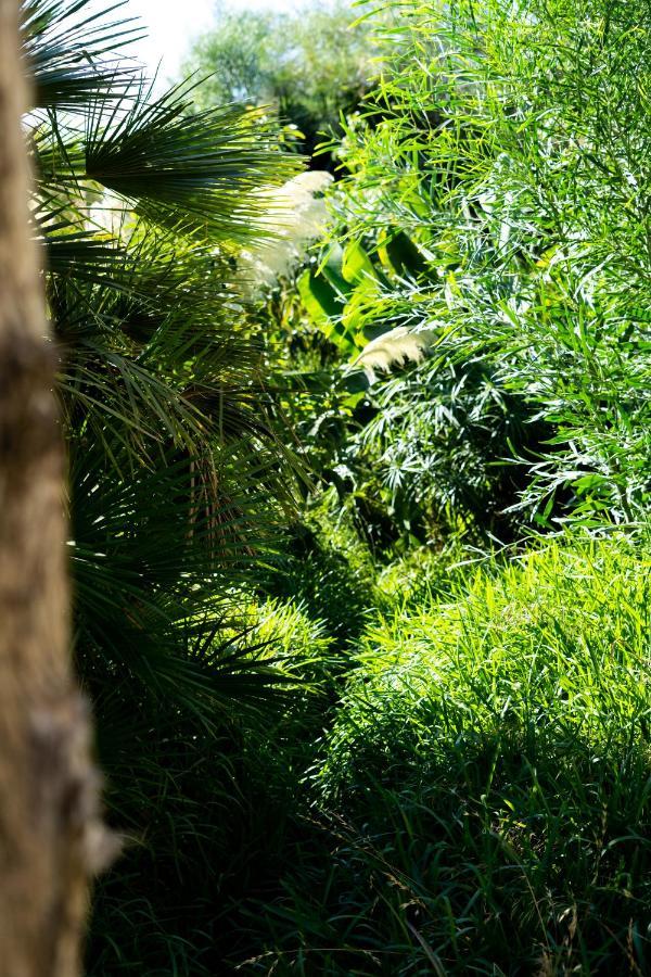 A Natural Retreat ミハス エクステリア 写真