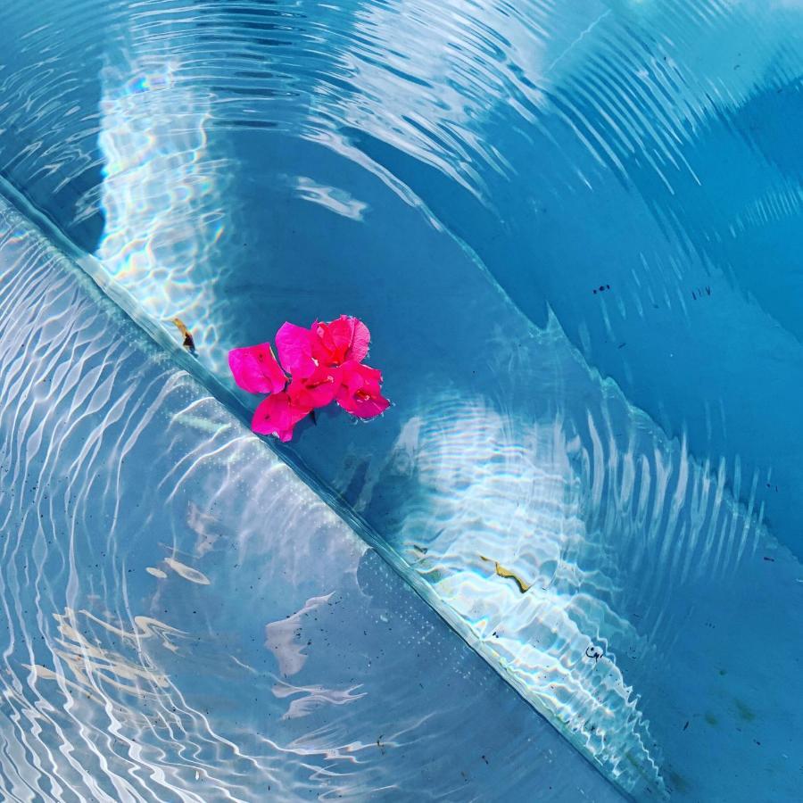 A Natural Retreat ミハス エクステリア 写真